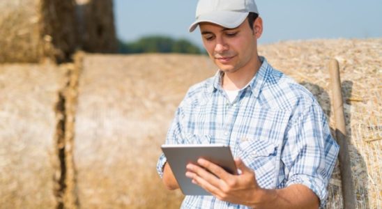 agricultura online